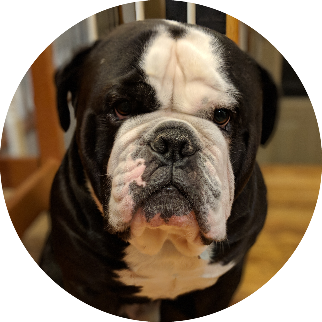 The Handsome Meatball